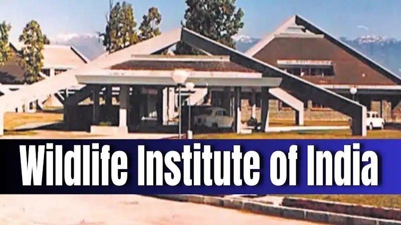 Wildlife Institute of India (WII) Recruitment 2025 – Technician and Various Posts
