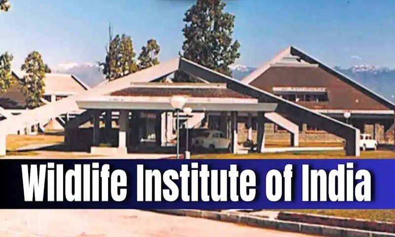 Wildlife Institute of India (WII)